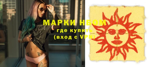 твердый Надым
