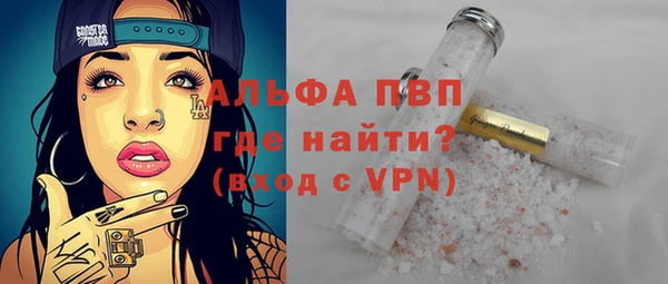 твердый Надым
