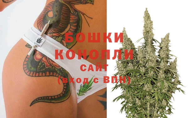 твердый Надым