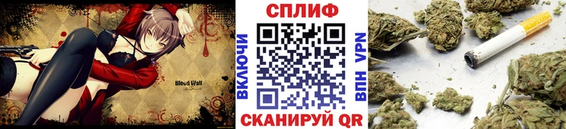 Бошки марихуана сатива blacksprut маркетплейс Кущёвская купить наркоту